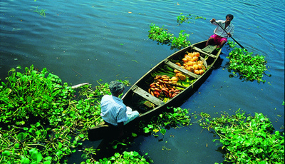 backwaters in alappuzha